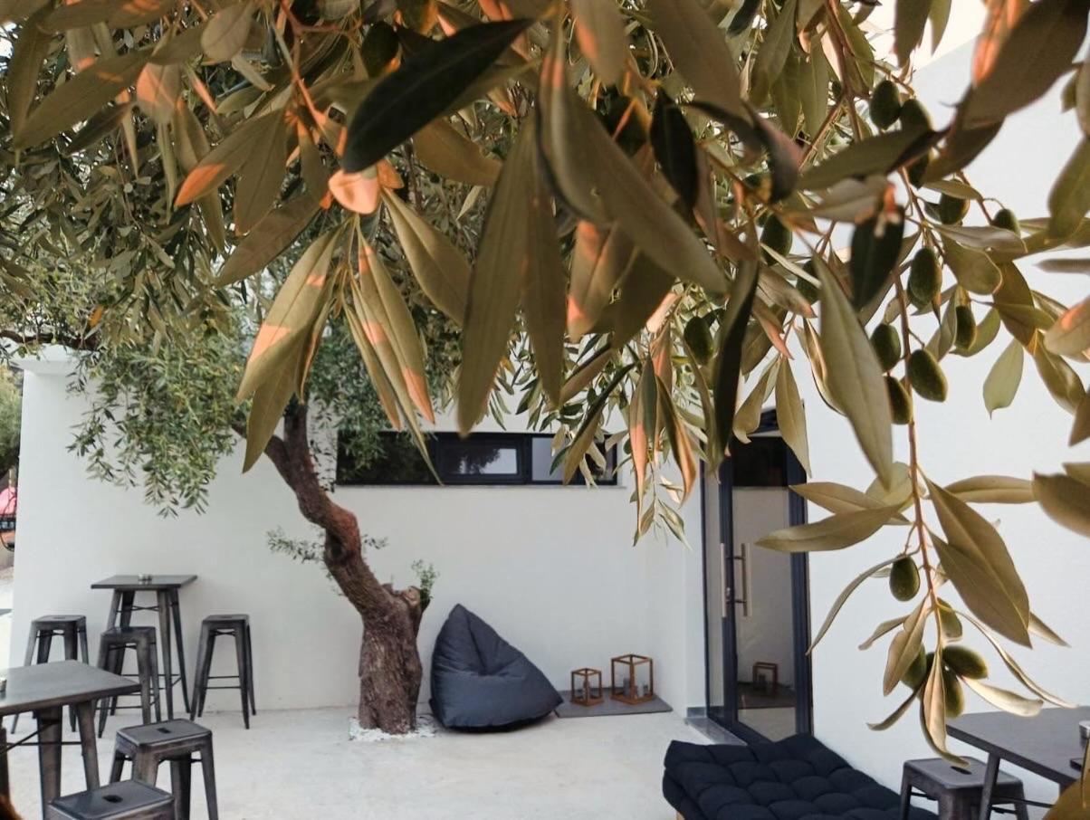 Hotel The Olive Hills Skala Rachoni  Exterior foto
