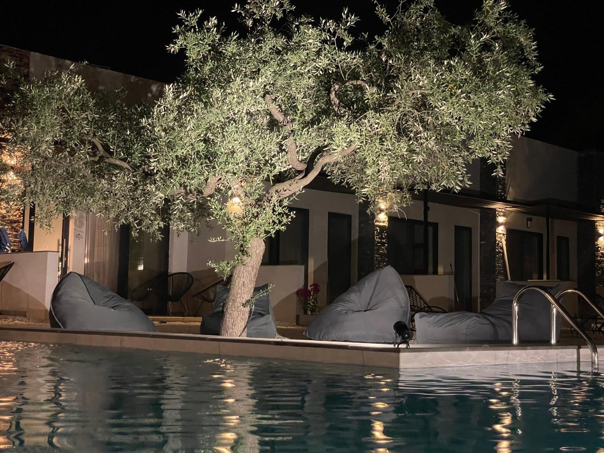 Hotel The Olive Hills Skala Rachoni  Exterior foto
