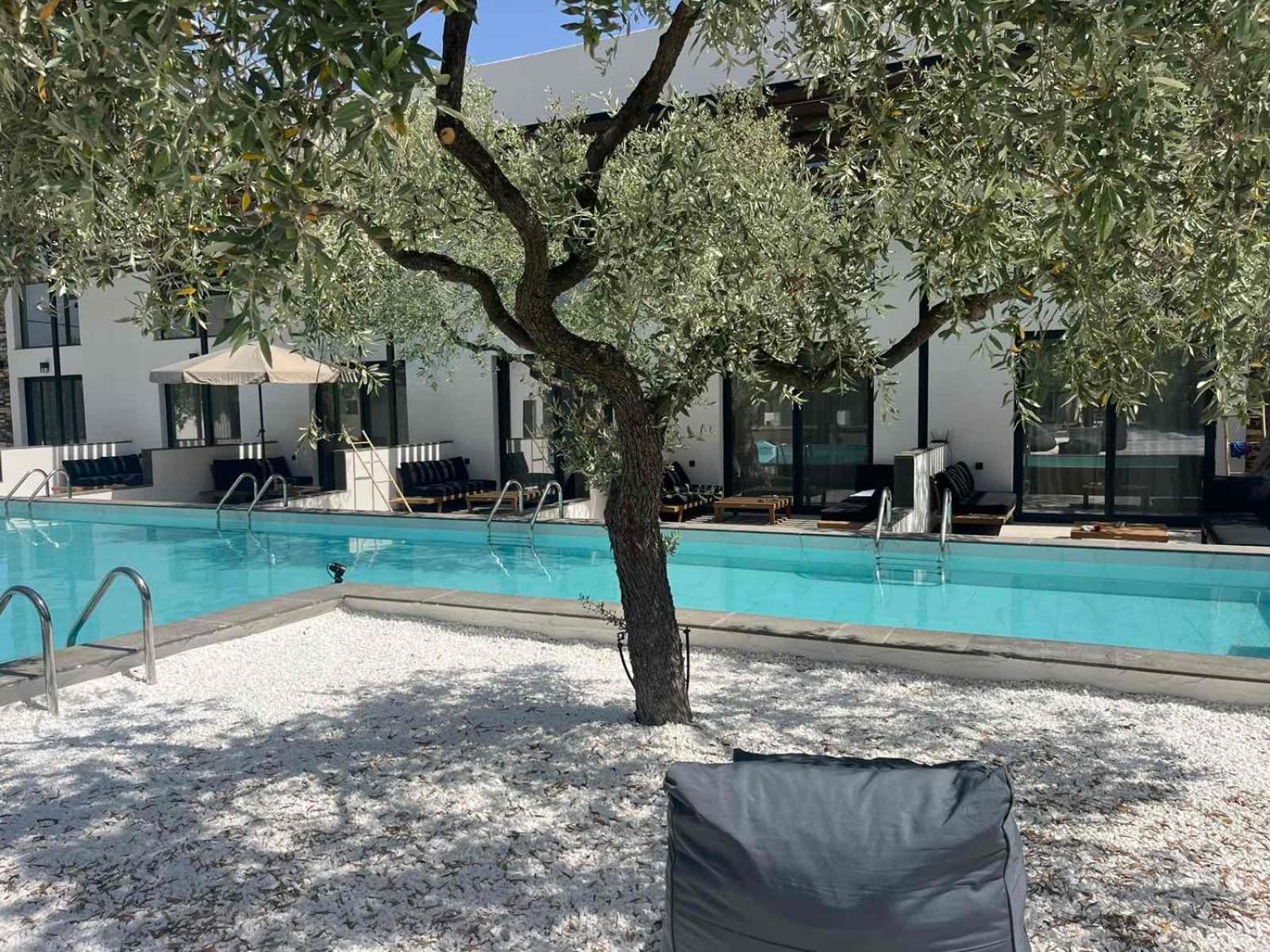 Hotel The Olive Hills Skala Rachoni  Exterior foto